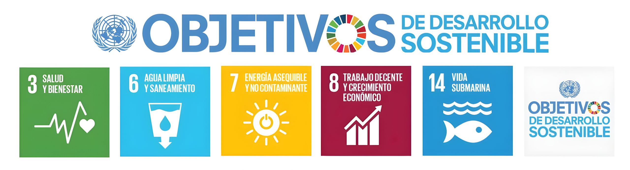 Objetivos de desarrollo sostenible Banner